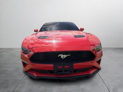 Used 2023 Ford Mustang Premium image 2