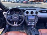 Used 2016 Ford Mustang GT Premium w/ Equipment Group 401A image 5