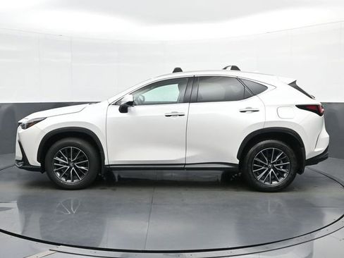 Used 2024 Lexus NX 250 FWD w/ Cold Area Package image 5