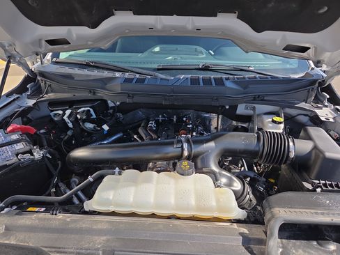 Used 2025 Ford F150 XLT w/ Equipment Group 301A Standard image 19