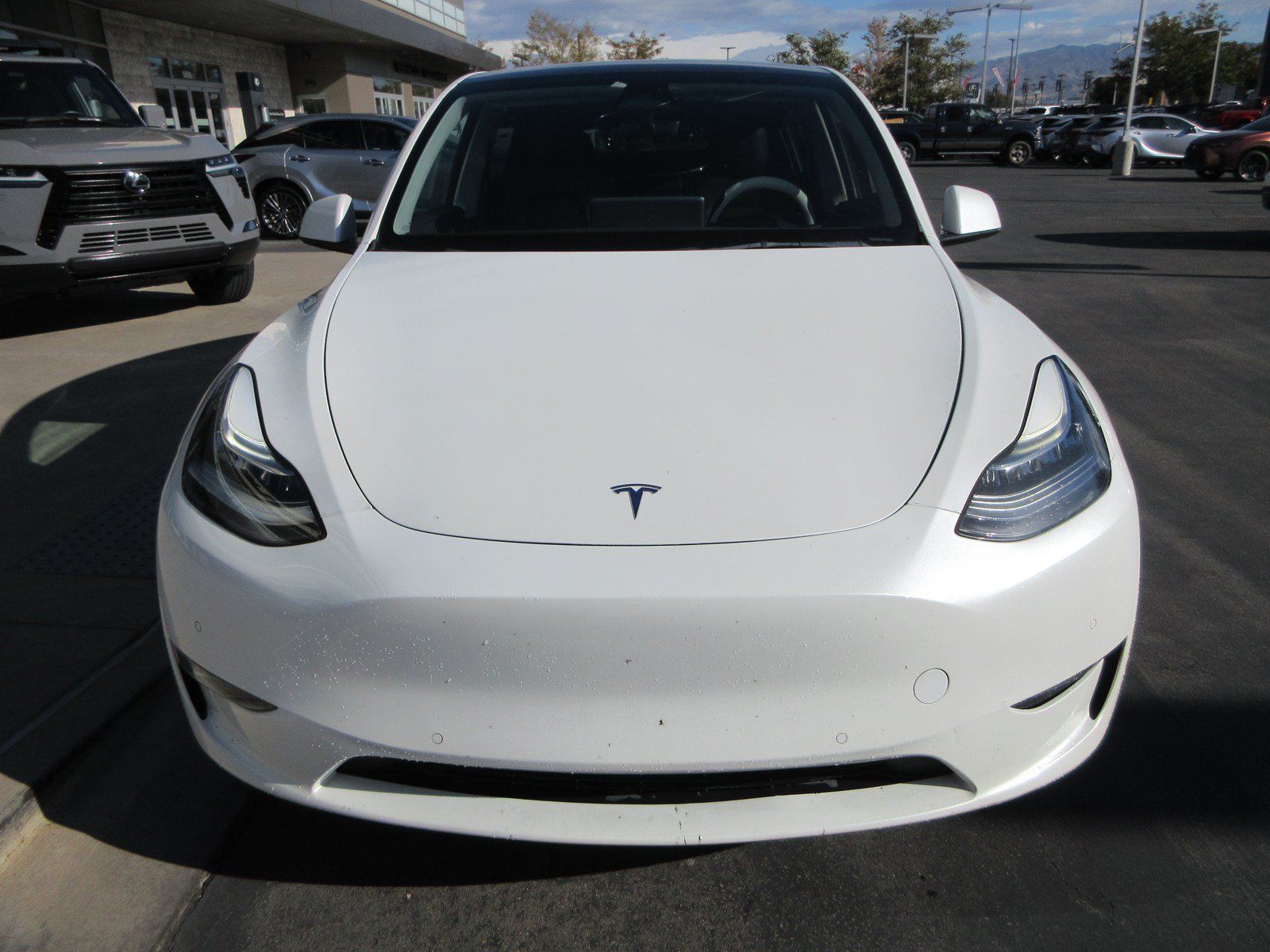 Used 2021 Tesla Model Y Long Range AWD/4WD image 15