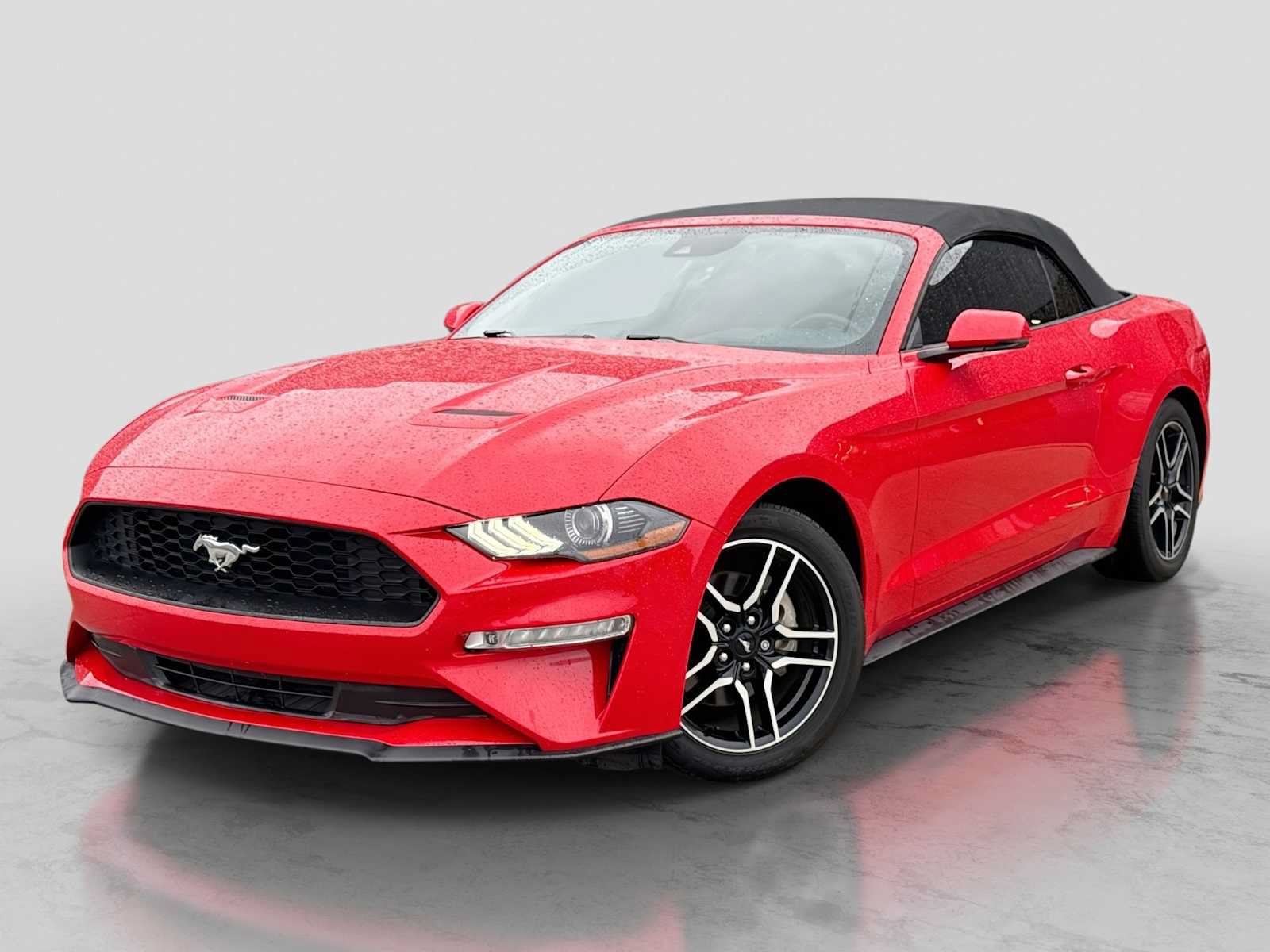 Used 2019 Ford Mustang Premium w/ Equipment Group 201A RWD image 1
