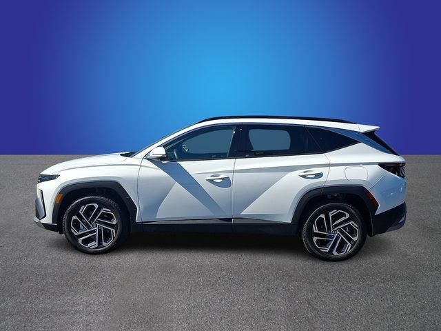 Used 2026 Hyundai Tucson Limited AWD/4WD image 7