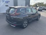 Used 2020 Honda CR-V LX image 3