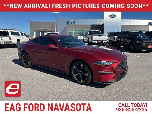 Used 2018 Ford Mustang Coupe image 1