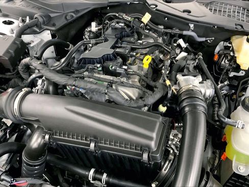 New 2026 Ford Mustang EcoBoost Fastback w/ Mustang Nite Pony Package image 17