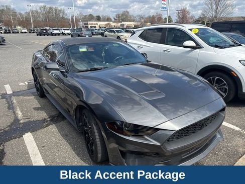 Used 2019 Ford Mustang EcoBoost w/ Black Accent Package image 3