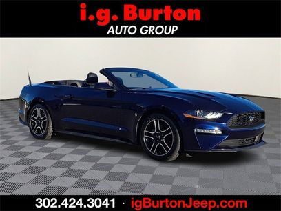 Used 2018 Ford Mustang Premium w/ Equipment Group 201A