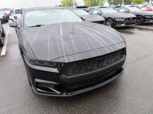 New 2025 Ford Mustang Convertible w/ Mustang Nite Pony Package image 2