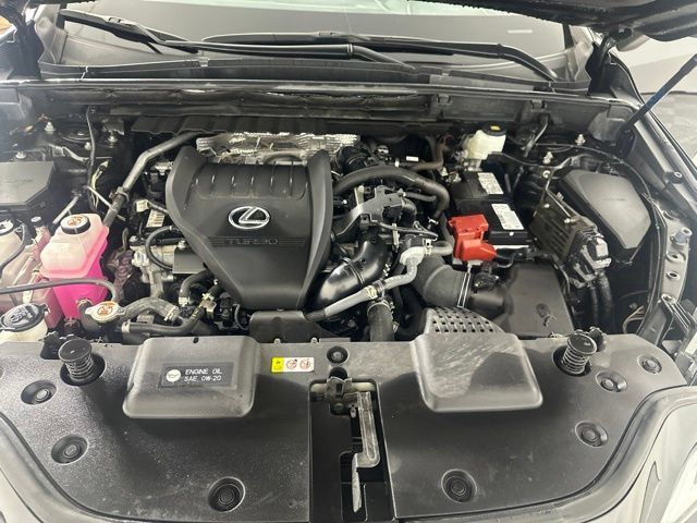Used 2024 Lexus NX 350 AWD image 15