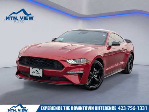 Used 2023 Ford Mustang Coupe w/ Mustang Nite Pony Package image 1