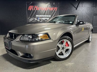 Used 2001 Ford Mustang Cobra