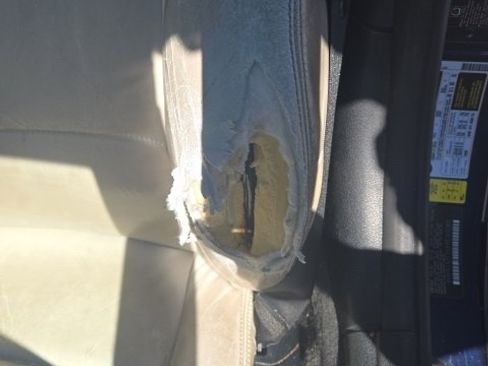 Used 2009 BMW Z4 sDrive35i image 13