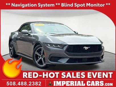 Used 2024 Ford Mustang Premium