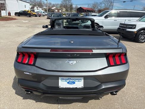 Used 2024 Ford Mustang Premium image 7