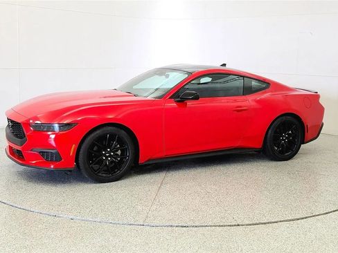 Used 2025 Ford Mustang Coupe RWD image 4