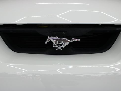 Used 2004 Ford Mustang Cobra RWD image 32