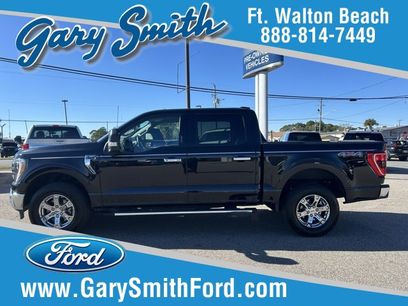 Used 2023 Ford F150 XLT w/ Equipment Group 302A High