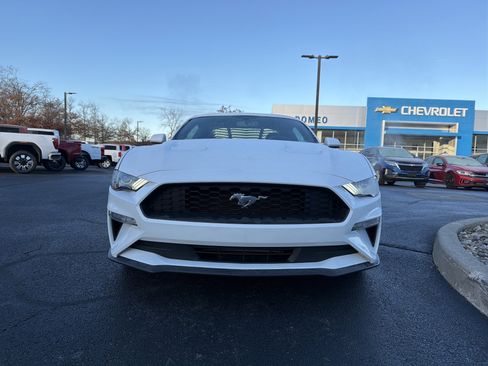 Used 2019 Ford Mustang Coupe w/ Ecoboost Performance Package image 2