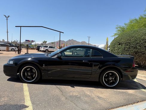 Used 2003 Ford Mustang Cobra RWD image 6