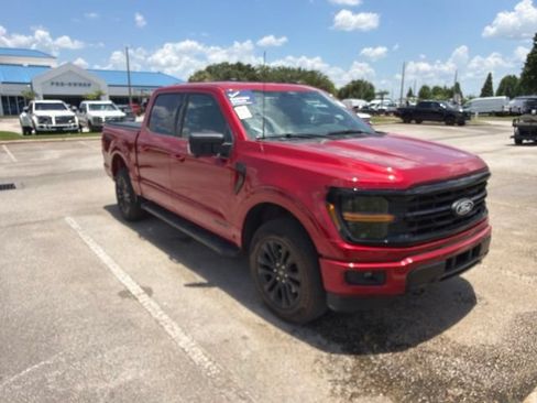 Used 2025 Ford F150 XLT w/ Equipment Group 303A High AWD/4WD image 3