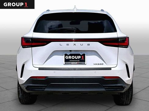 Used 2024 Lexus NX 250 FWD image 5