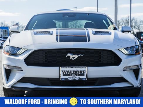 Used 2021 Ford Mustang Coupe w/ Equipment Group 101A image 2