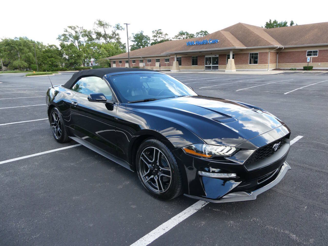 Used 2019 Ford Mustang Premium RWD image 3