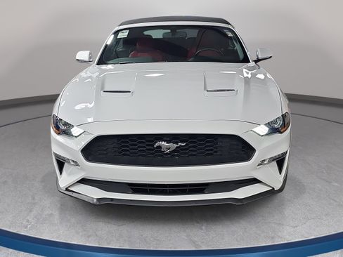 Used 2018 Ford Mustang Premium w/ Equipment Group 201A RWD image 2