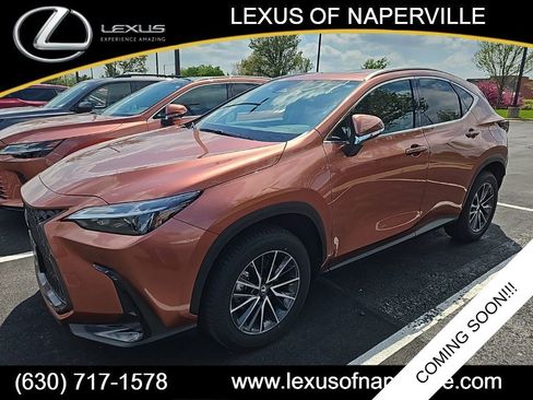 Used 2025 Lexus NX 350h AWD w/ Accessory Package (2T) image 1