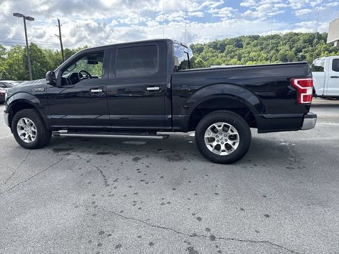 Used 2019 Ford F150 XLT w/ Equipment Group 302A Luxury AWD/4WD image 3