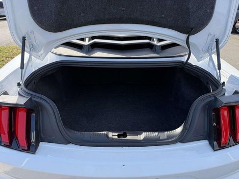 Used 2019 Ford Mustang Coupe RWD image 33