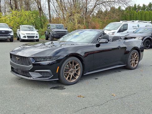 New 2026 Ford Mustang Convertible w/ Bronze Appearance Package image 2