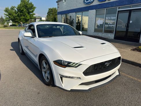 Used 2020 Ford Mustang Coupe RWD image 2