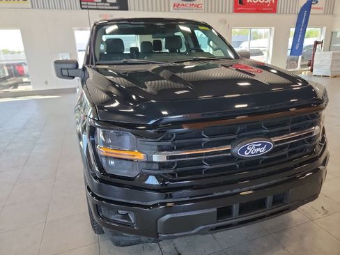 Used 2025 Ford F150 XLT w/ Equipment Group 301A Standard AWD/4WD image 4