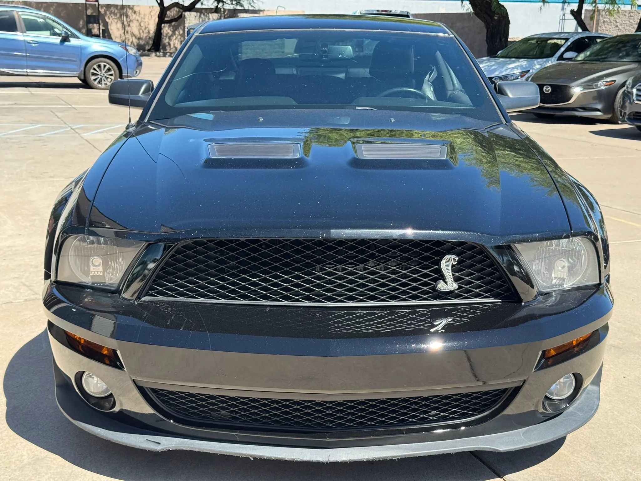 Used 2008 Ford Mustang Shelby GT500 RWD image 2