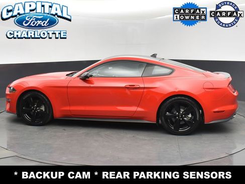 Used 2023 Ford Mustang Coupe w/ Equipment Group 101A image 6