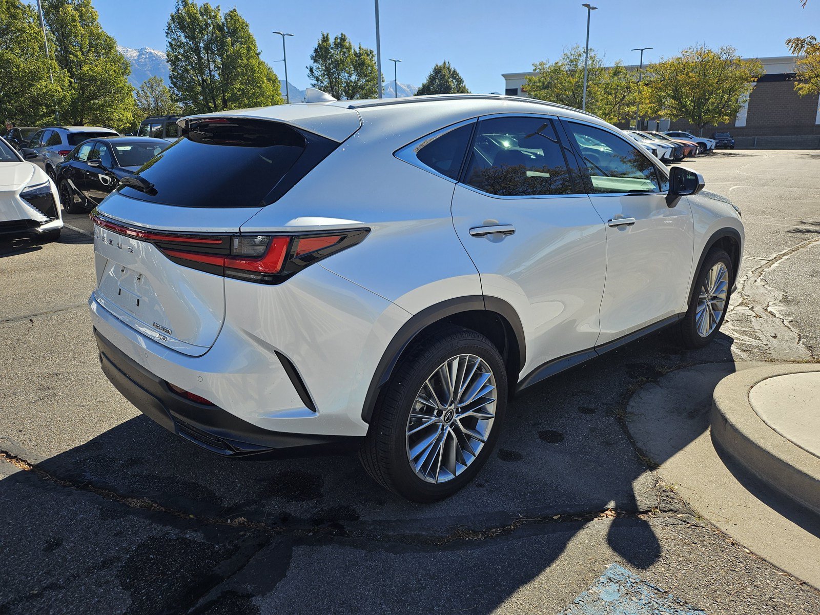 Used 2024 Lexus NX 350 AWD w/ Vision Package image 5