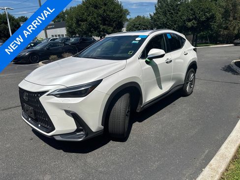 Used 2023 Lexus NX 350 AWD image 5