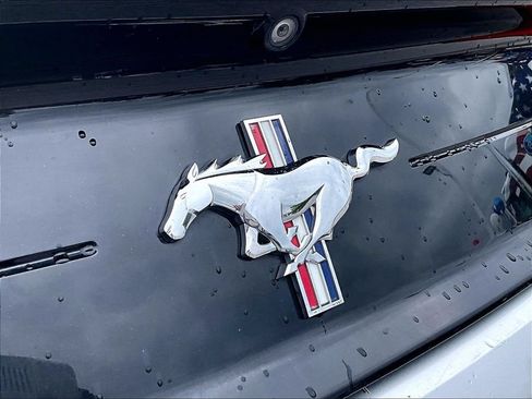 Used 2019 Ford Mustang Premium w/ Equipment Group 201A RWD image 9