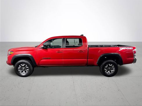 Used 2023 Toyota Tacoma TRD Off-Road w/ Black Out Package (TMS) image 9