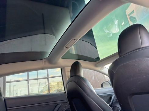 Used 2019 Tesla Model 3 Standard Range Plus image 14