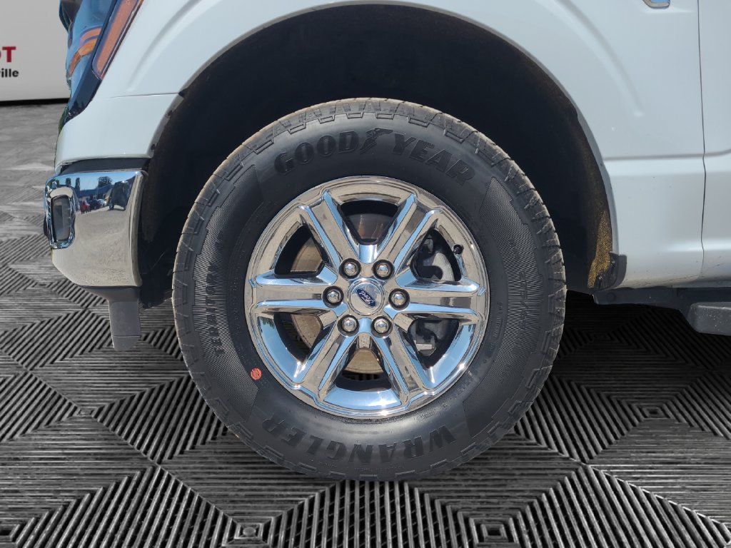 Used 2025 Ford F150 XLT w/ Equipment Group 301A Standard AWD/4WD image 14