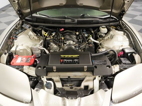Used 2001 Pontiac Firebird Trans Am RWD image 3