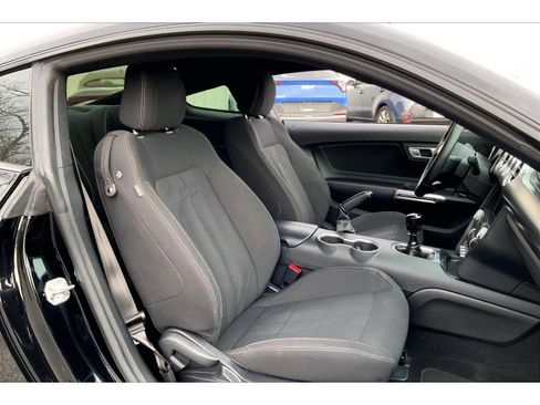 Used 2019 Ford Mustang Coupe w/ Ecoboost Performance Package image 5