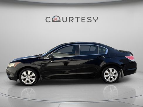 Used 2010 Honda Accord EX-L image 5