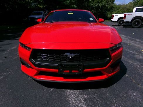 Used 2024 Ford Mustang Premium RWD image 3