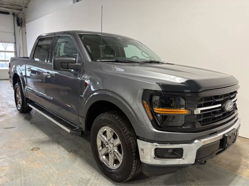 Used 2025 Ford F150 XLT w/ Equipment Group 301A Standard image 5
