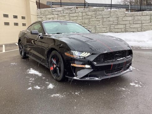 Used 2021 Ford Mustang Premium w/ Equipment Group 201A image 4