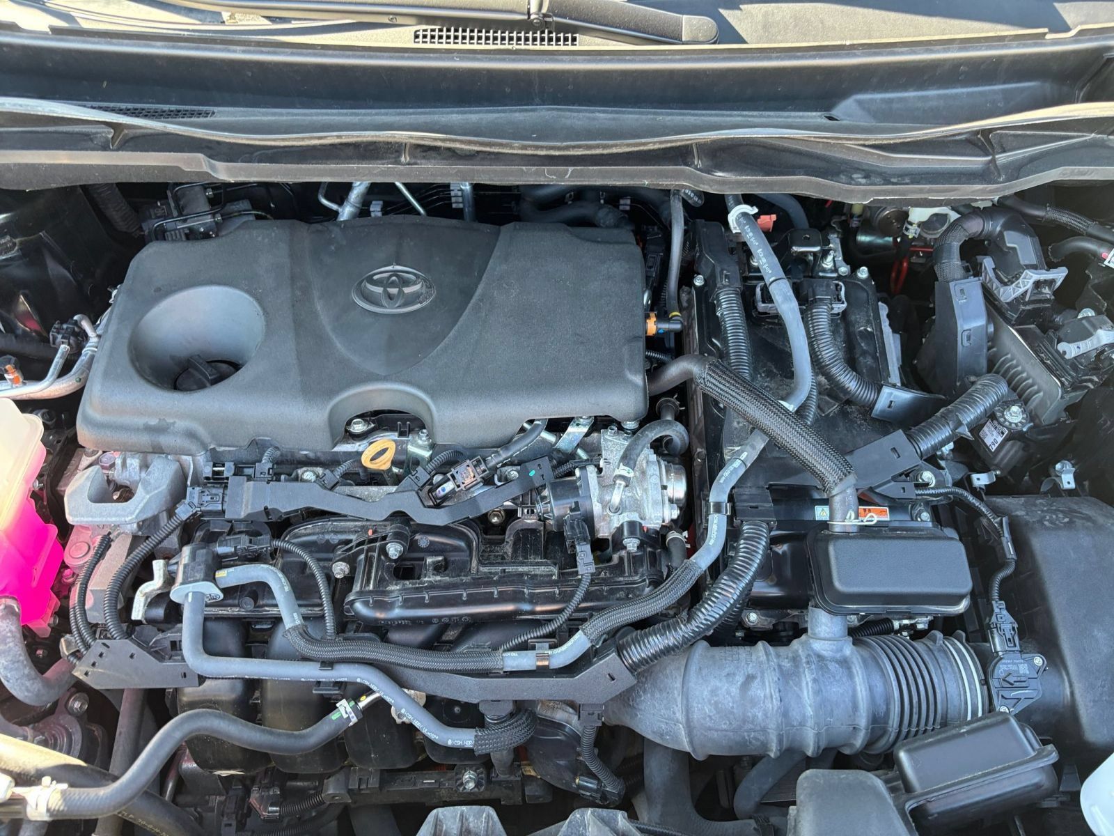 Used 2025 Toyota Sienna XLE FWD image 33